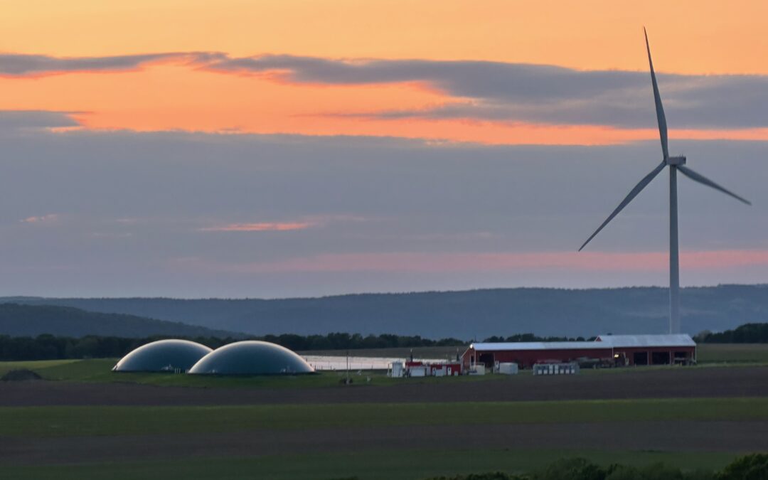 Lent Hill Dairy Farm