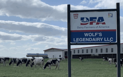 Wolf’s Legendairy